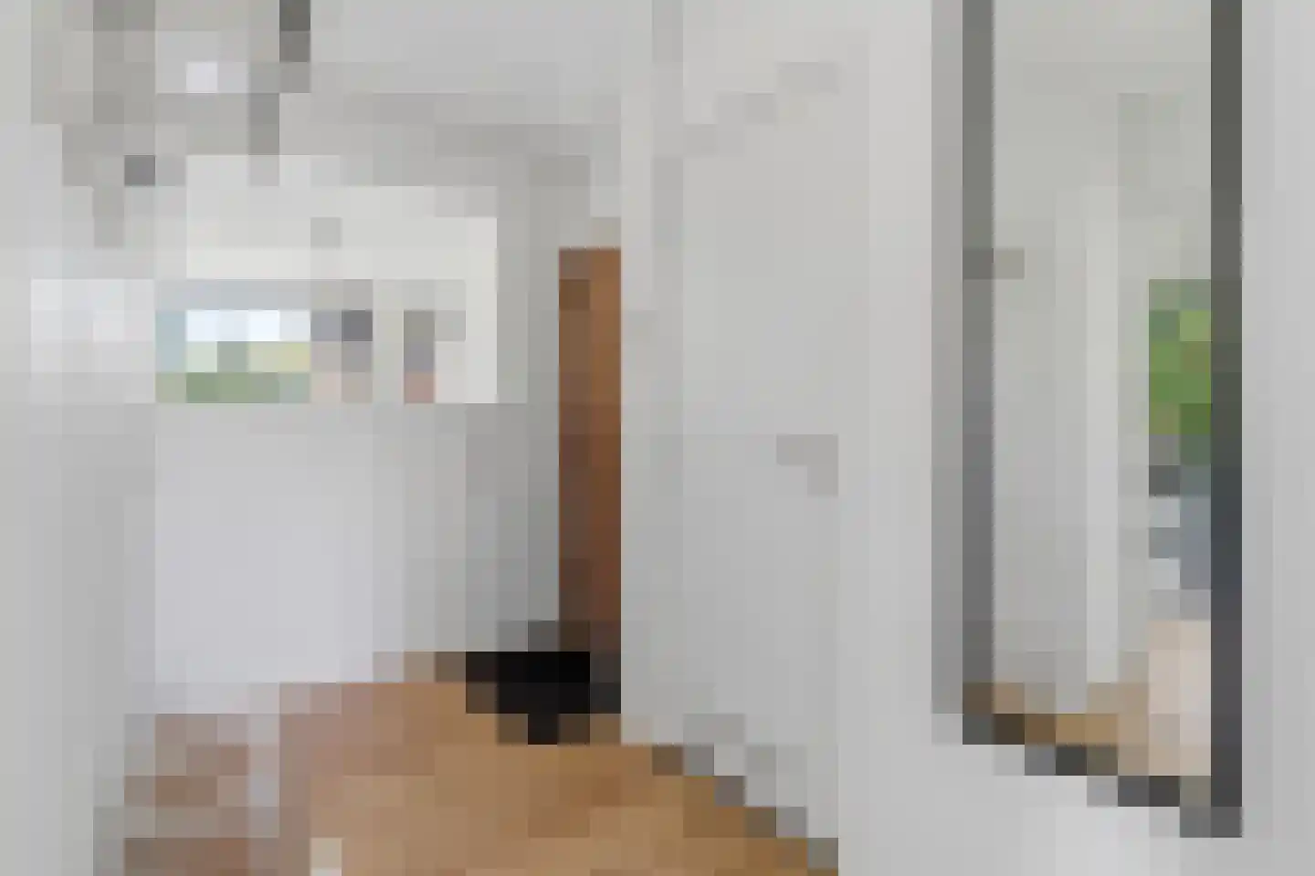 Jan Ligthartstraat 2 Voorburg thumbnail 4