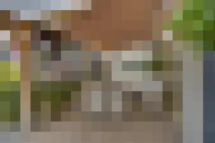Jan Ligthartstraat 6 Kampen thumbnail 21