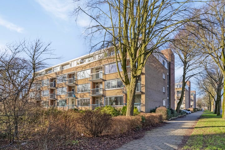 Jan Ligthartstraat 651 in Heemskerk photo