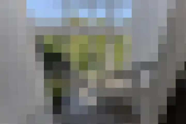 Jan Ligthartstraat 709 Heemskerk thumbnail 26