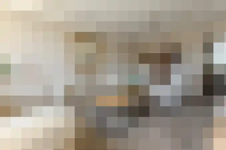 Jan Ligthartstraat 709 Heemskerk thumbnail 4