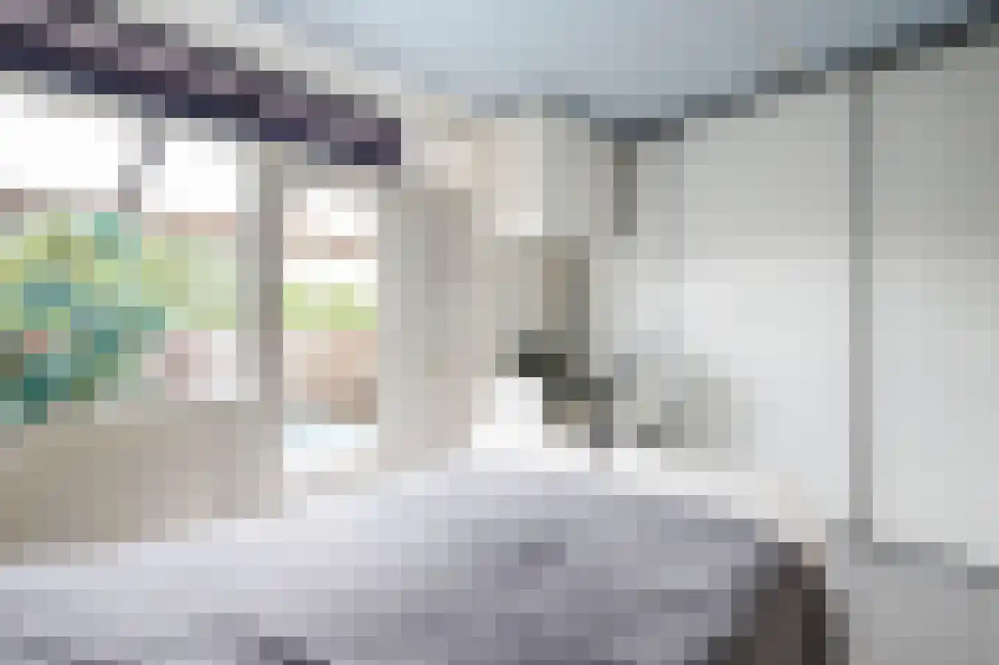Jan Ligthartstraat 79 Lekkerkerk thumbnail 22