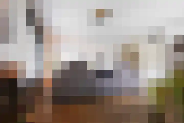 Jan Linthorststraat 35 Oisterwijk thumbnail 16