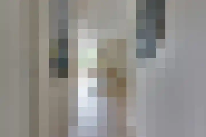 Jan Lithlaan 15 Doorn thumbnail 12