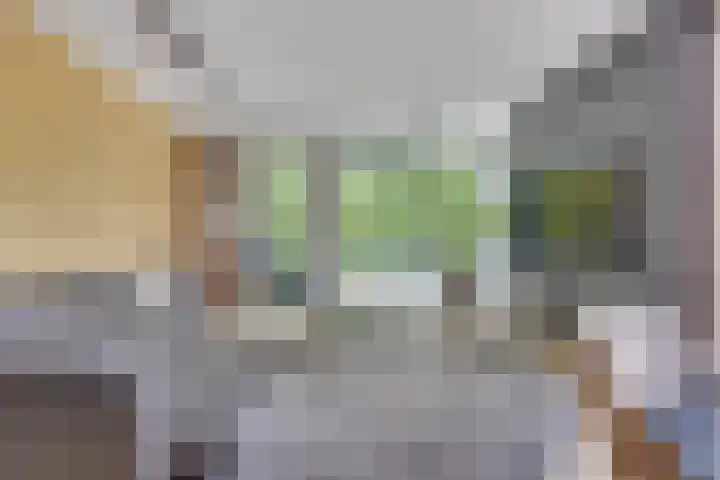 Jan Lithlaan 15 Doorn thumbnail 14