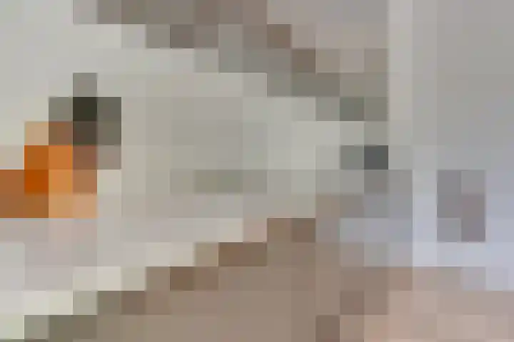 Jan Lithlaan 15 Doorn thumbnail 20