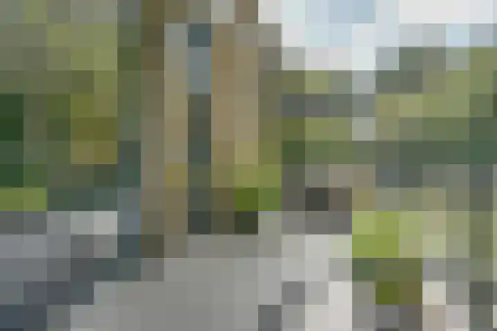 Jan Lithlaan 15 Doorn thumbnail 33