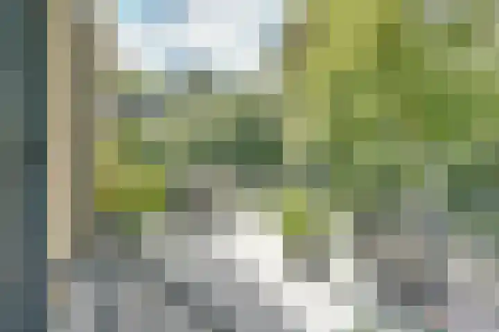 Jan Lithlaan 15 Doorn thumbnail 34