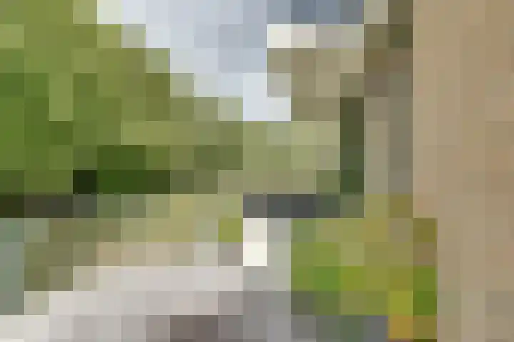 Jan Lithlaan 15 Doorn thumbnail 36