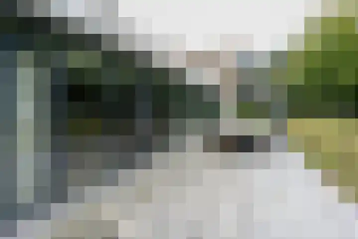 Jan Lithlaan 15 Doorn thumbnail 38