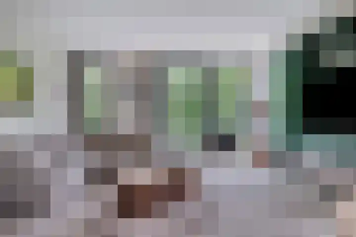 Jan Lithlaan 22 Doorn thumbnail 15