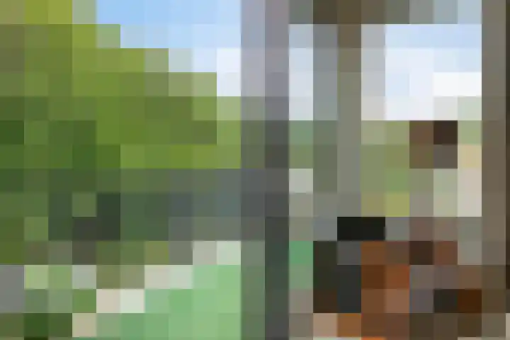 Jan Lithlaan 22 Doorn thumbnail 19