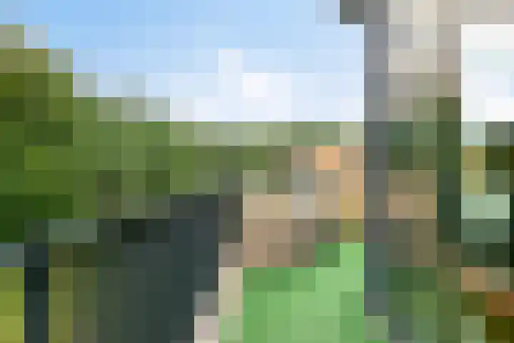 Jan Lithlaan 22 Doorn thumbnail 20