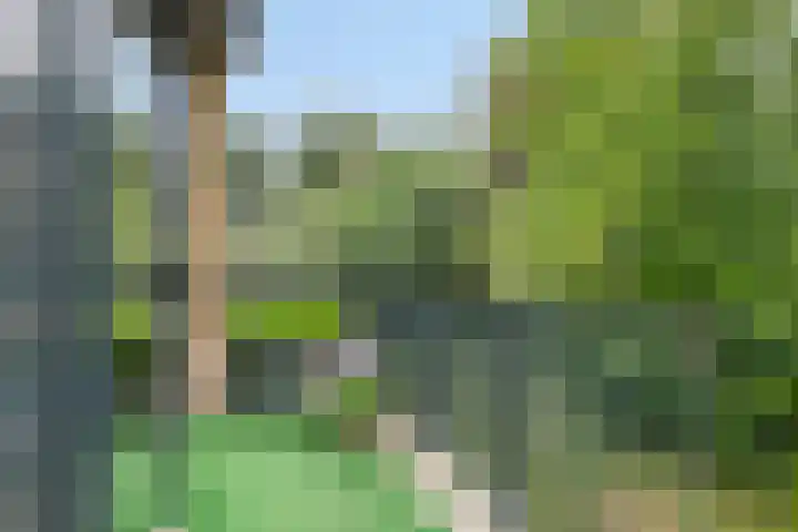 Jan Lithlaan 22 Doorn thumbnail 22