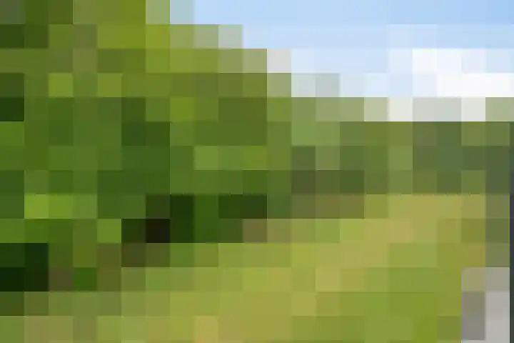 Jan Lithlaan 22 Doorn thumbnail 23