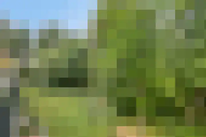 Jan Lithlaan 22 Doorn thumbnail 24