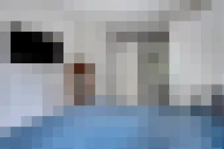 Jan Lithlaan 22 Doorn thumbnail 28