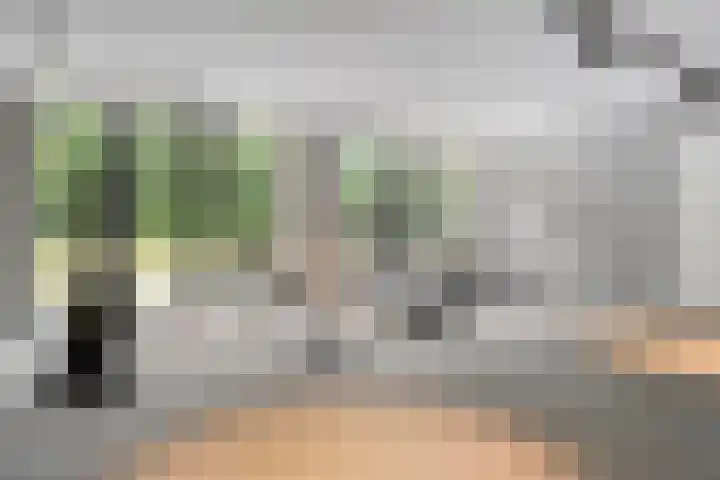 Jan Lithlaan 22 Doorn thumbnail 40