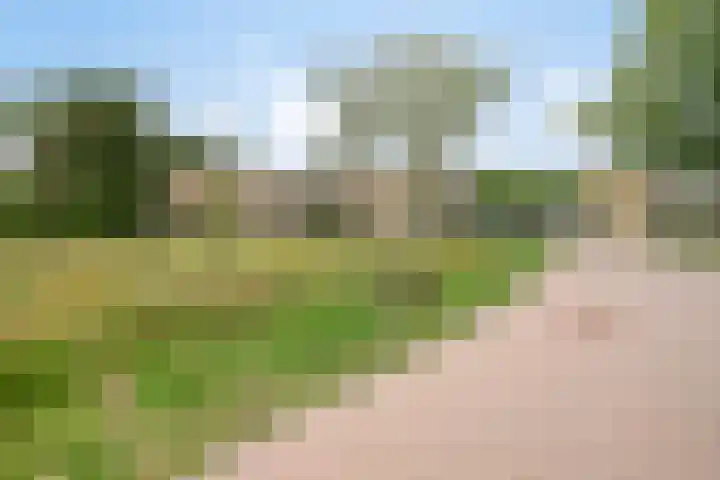Jan Lithlaan 22 Doorn thumbnail 50
