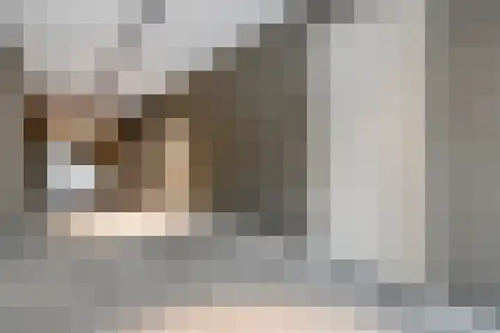 Jan Lithlaan 22 Doorn thumbnail 8