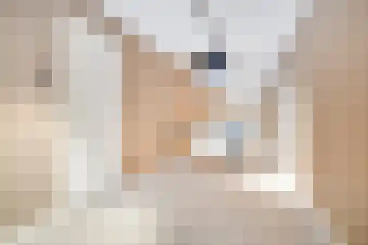 Jan Lithlaan 9 Doorn thumbnail 10