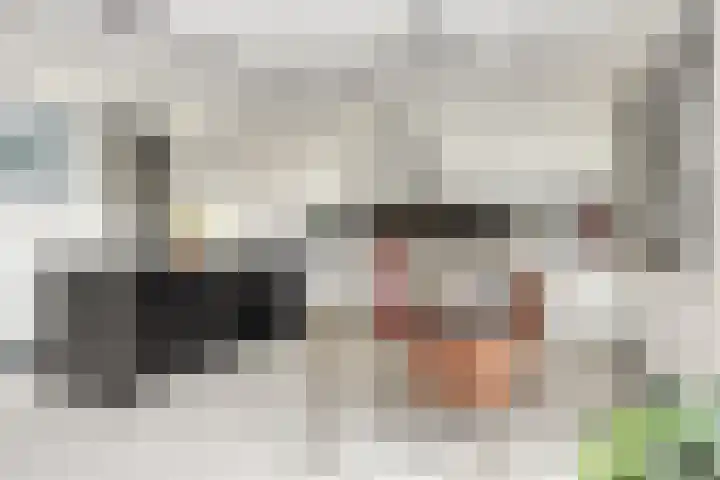 Jan Lithlaan 9 Doorn thumbnail 29