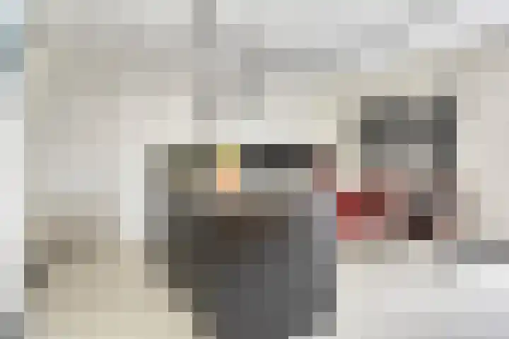 Jan Lithlaan 9 Doorn thumbnail 30