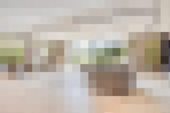Jan Lithlaan 9 Doorn thumbnail 36