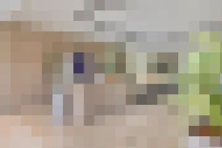 Jan Lithlaan 9 Doorn thumbnail 37