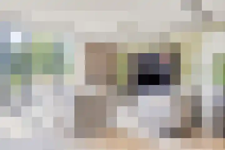 Jan Lithlaan 9 Doorn thumbnail 39