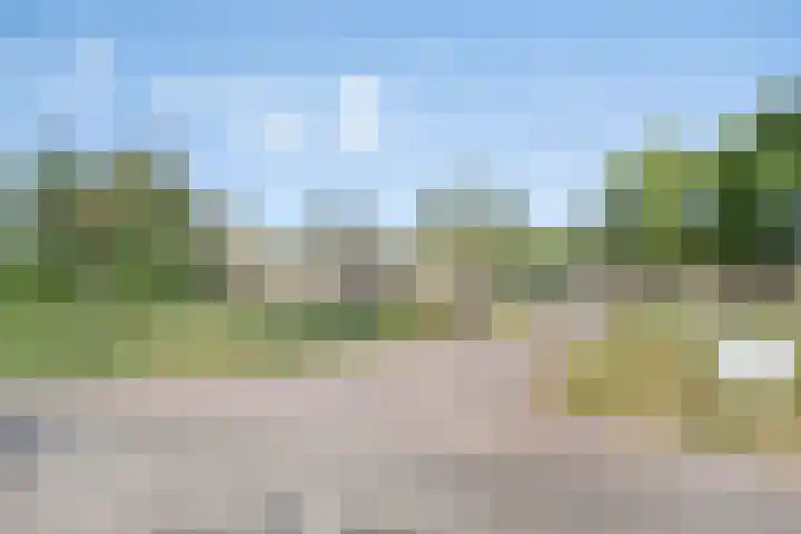Jan Lithlaan 9 Doorn thumbnail 4
