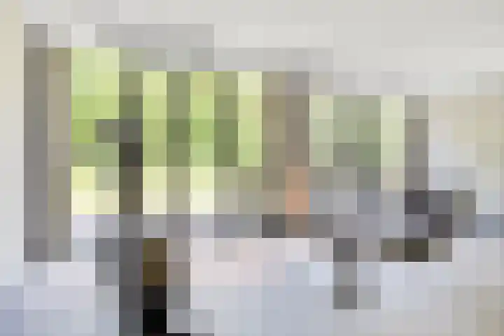Jan Lithlaan 9 Doorn thumbnail 40