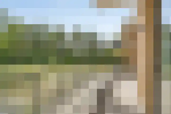 Jan Lithlaan 9 Doorn thumbnail 49