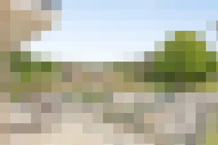 Jan Lithlaan 9 Doorn thumbnail 50
