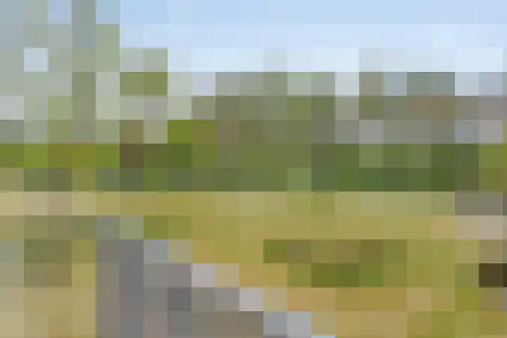 Jan Lithlaan 9 Doorn thumbnail 51