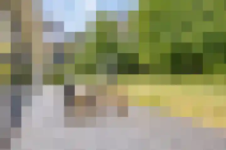 Jan Lithlaan 9 Doorn thumbnail 52
