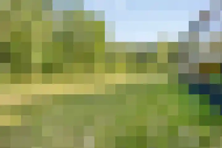 Jan Lithlaan 9 Doorn thumbnail 53
