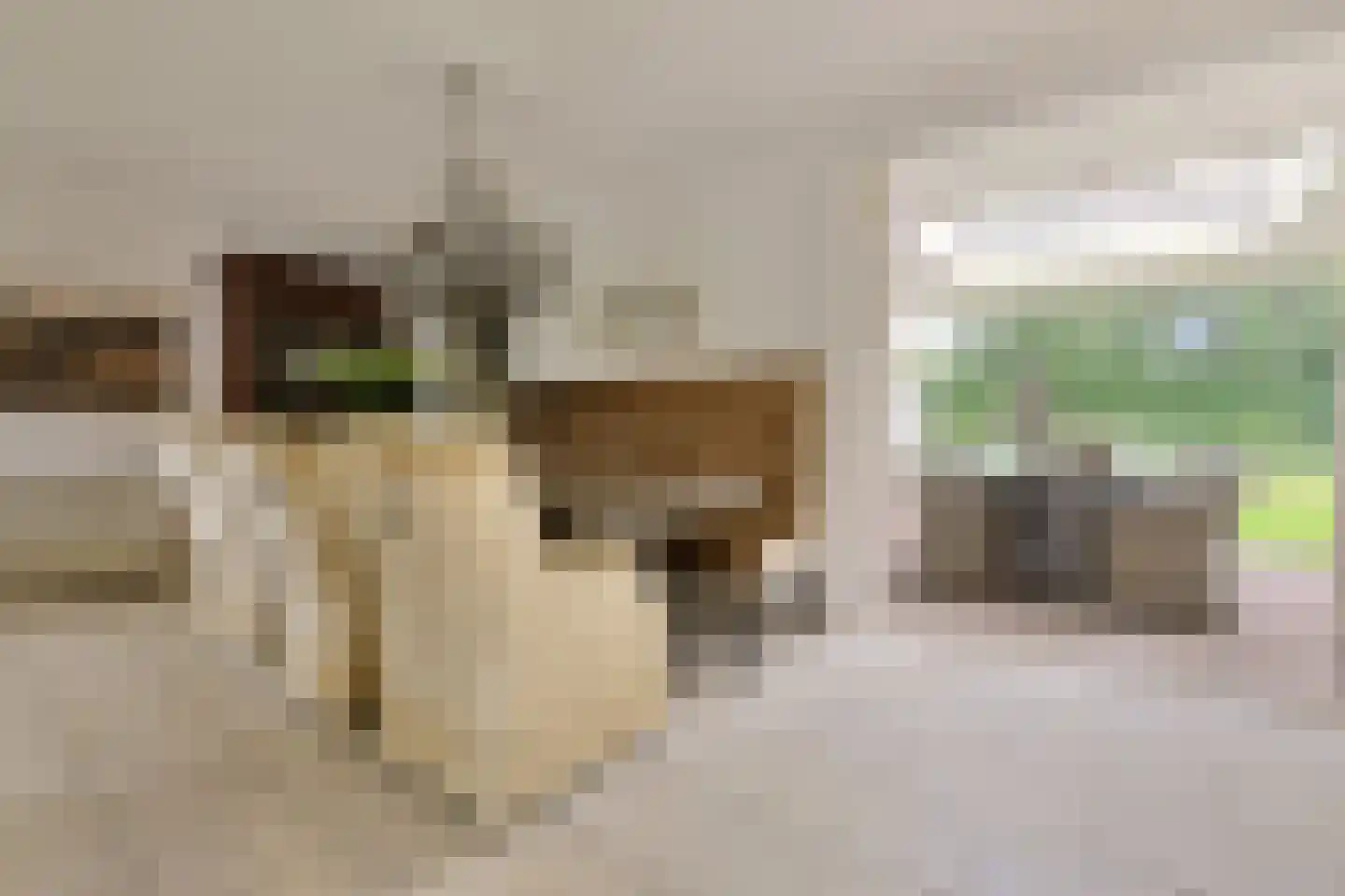 Jan Lubbertsenlaan 8 Hoevelaken thumbnail 11