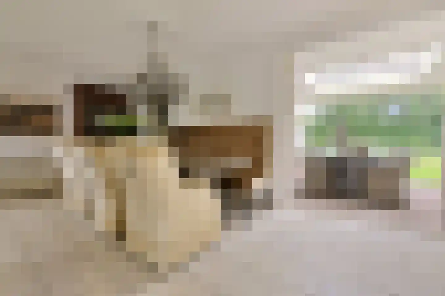 Jan Lubbertsenlaan 8 Hoevelaken thumbnail 12