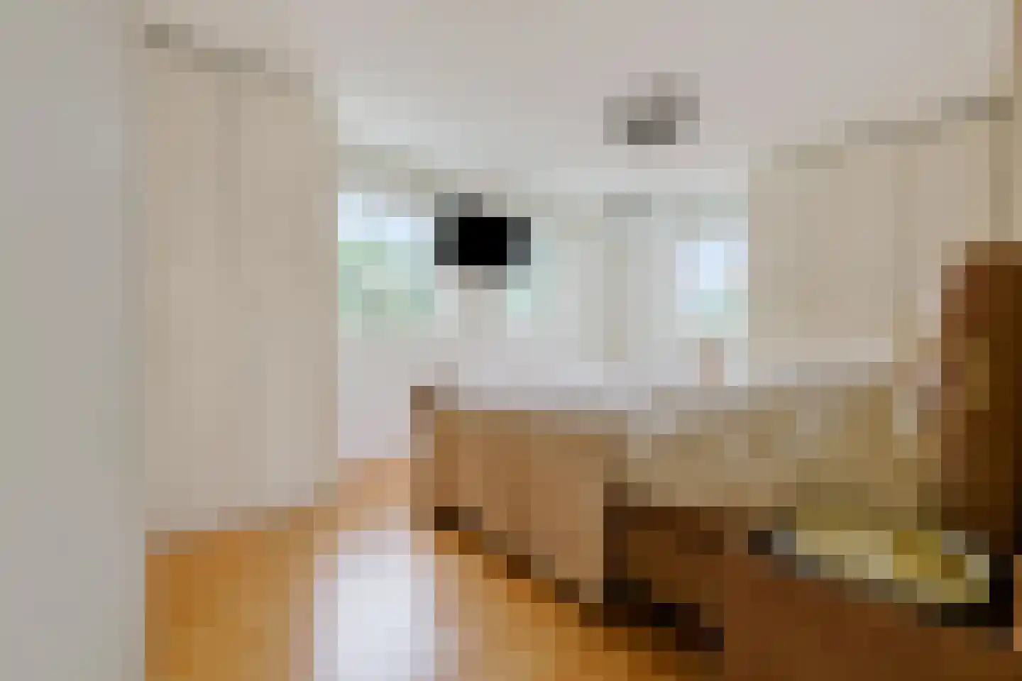 Jan Lubbertsenlaan 8 Hoevelaken thumbnail 21