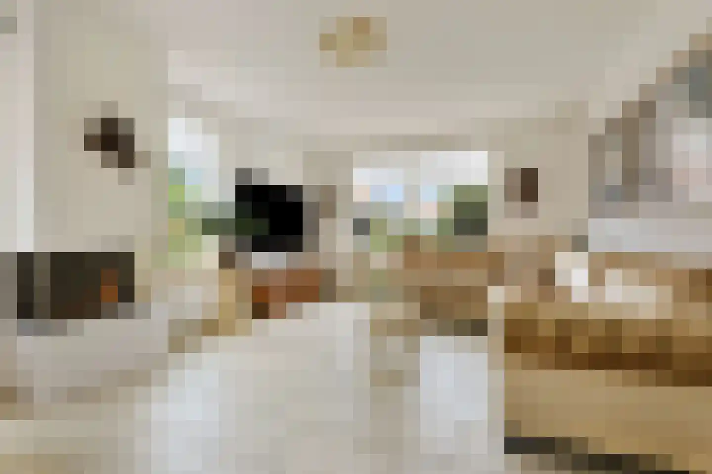Jan Lubbertsenlaan 8 Hoevelaken thumbnail 8