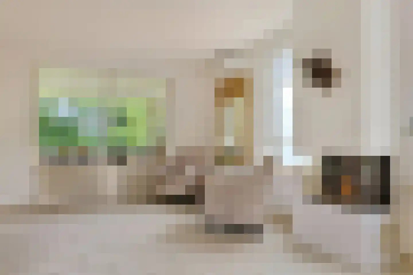 Jan Lubbertsenlaan 8 Hoevelaken thumbnail 9