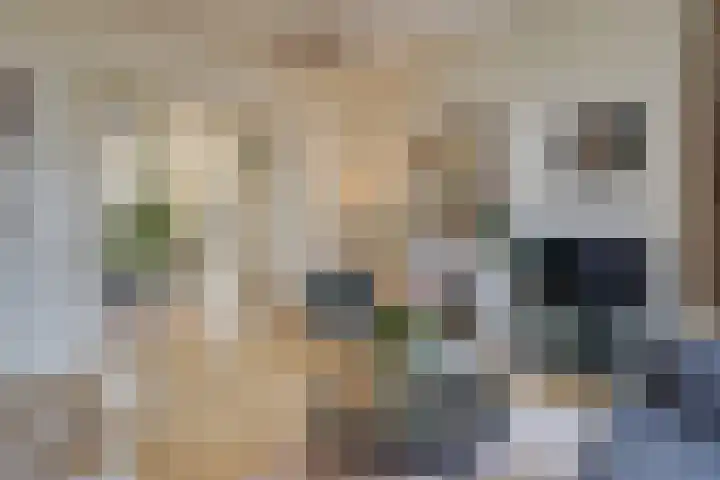 Jan Luijkenlaan 15 Velp thumbnail 11