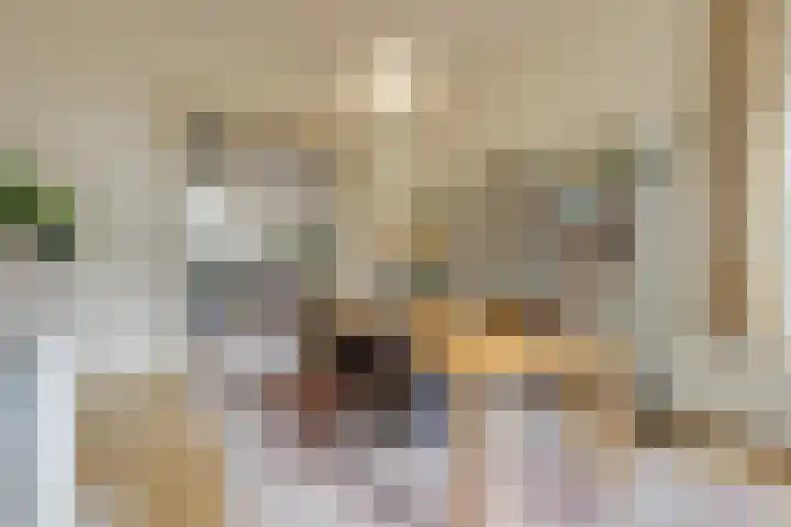 Jan Luijkenlaan 15 Velp thumbnail 14