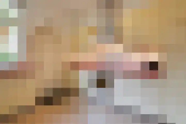 Jan Luijkenlaan 15 Velp thumbnail 15