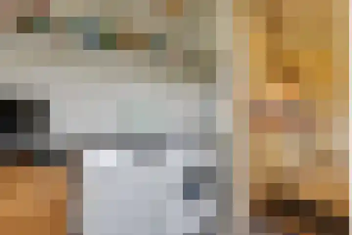Jan Luijkenlaan 15 Velp thumbnail 17
