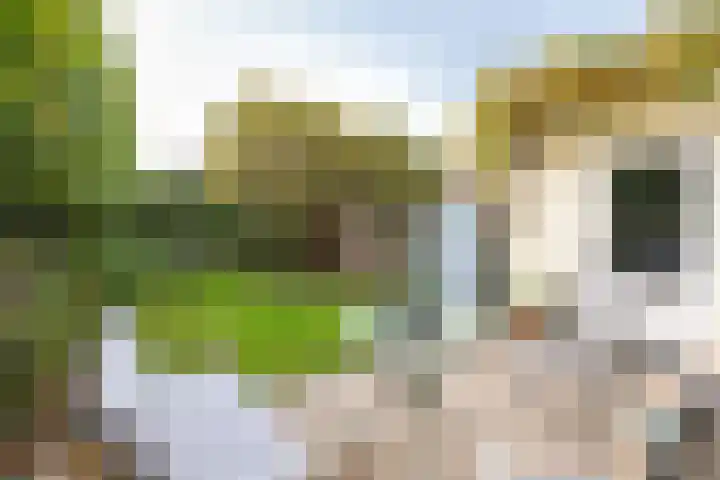 Jan Luijkenlaan 15 Velp thumbnail 34