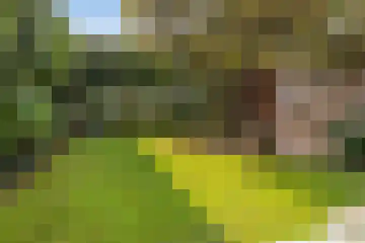 Jan Luijkenlaan 15 Velp thumbnail 35