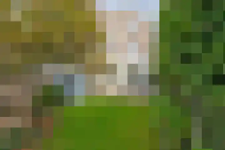 Jan Luijkenlaan 15 Velp thumbnail 37