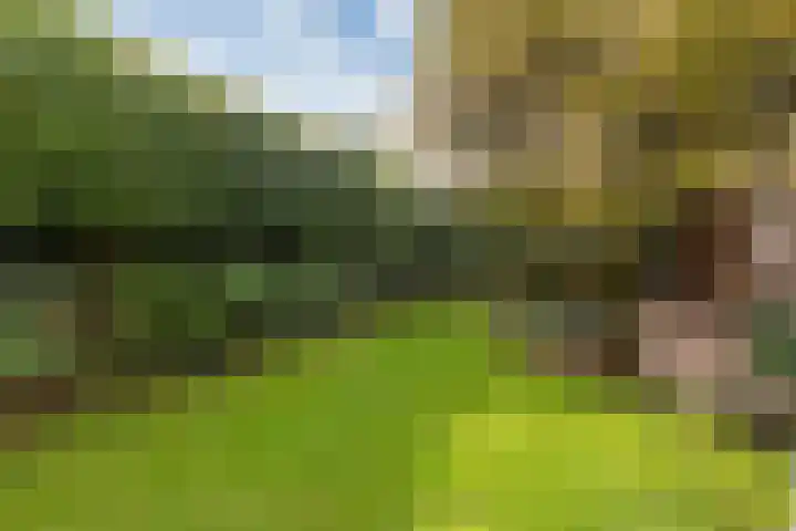 Jan Luijkenlaan 15 Velp thumbnail 4